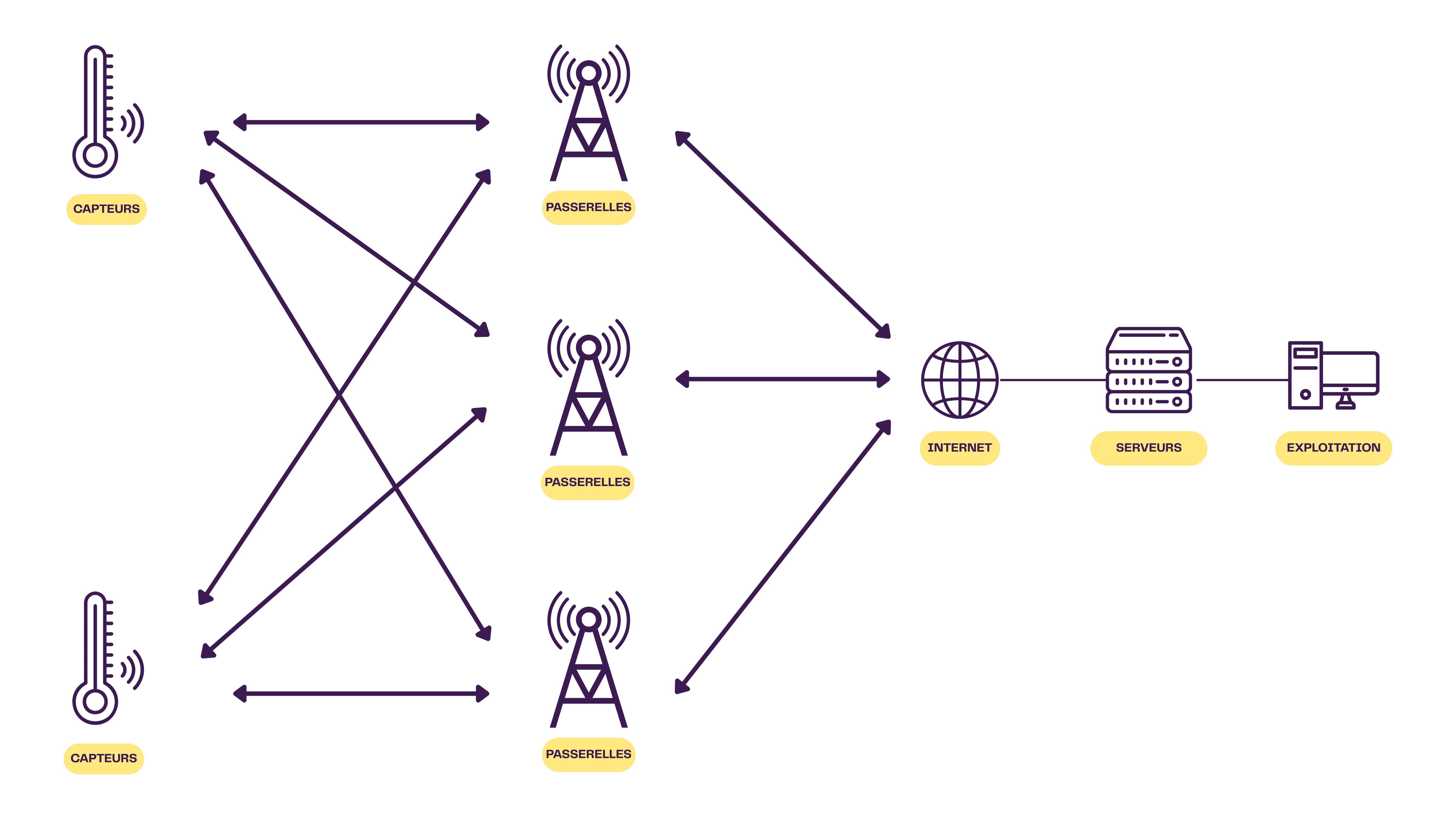 Sh%C3%A9cma%20IOTarn